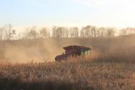 corn-fall-corn-picker-autumn-1023660.jpg