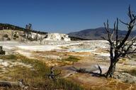 yellowstone-national-park-wyoming-207599.jpg