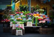 market-flowers-farmers-local-market-1178250.jpg