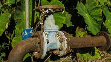 pipe-taps-plumbing-water-valve-1709143.jpg