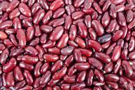 beans-kidney-pile-heap-nobody-316592.jpg