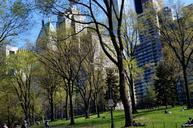 central-park-newyork-green-holidays-667999.jpg