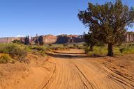 monument-valley-dusty-road-tree-58175.jpg