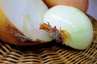 onion-half-raw-food-close-1144627.jpg