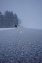 blizzard-road-way-home-alone-leave-1025004.jpg