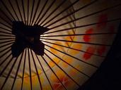 japanese-umbrellas-umbrella-636873.jpg