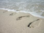 footprints-wet-sand-beach-summer-1142721.jpg