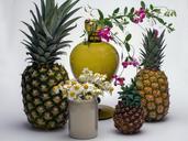 still-life-fruit-pineapple-flowers-836822.jpg