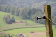 pasture-fence-electric-fence-335563.jpg