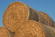 straw-straw-bales-round-bales-578640.jpg