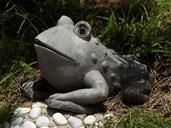 frog-figure-stone-animal-505644.jpg