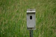 birdhouse-field-nature-wooden-wood-615716.jpg