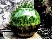 grass-bowl-green-turf-art-966668.jpg