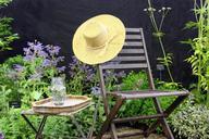 hat-garden-beautiful-fashion-455657.jpg