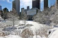 Day-after-snow-storm-in-Central-Park-New-York.jpg