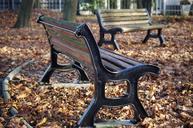 bench-park-autumn-1093795.jpg