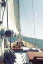 sailing-boat-sailing-sailboat-water-406933.jpg