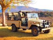 safari-jeep-vehicle-offroad-382383.jpg