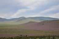 hills-flowering-desert-flowers-960106.jpg