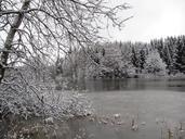 winter-lake-nature-ice-cold-597648.jpg