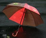 umbrella-rain-protection-rainy-50511.jpg