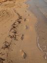 footprints-beach-sea-ocean-sand-586954.jpg