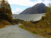 dam-les-toules-great-st-bernard-201146.jpg