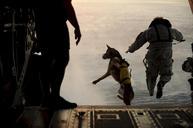 skydiving-jump-dog-canine-falling-865507.jpg