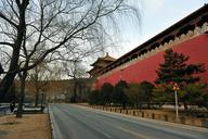 beijing-the-national-palace-museum-541499.jpg