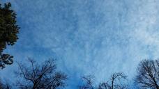 sky-clouds-cloudy-blue-background-615416.jpg