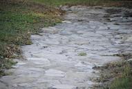 path-stone-nature-green-garden-574402.jpg