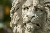 lion-statue-zoo-671193.jpg