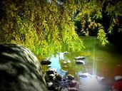 pond-water-trees-rocks-lakes-400826.jpg