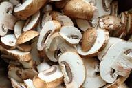 mushroom-fungi-cutting-674507.jpg