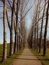 trail-trees-nature-path-park-walk-709391.jpg