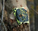 target-practice-bullseye-shooting-65647.jpg