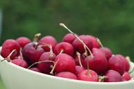 cherries-fruit-red-collection-916385.jpg