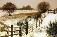 winter-landscape-snow-nature-cold-884691.jpg