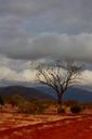 safari-landscape-holiday-kenya-16951.jpg