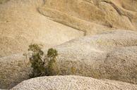 Boulders_near_Jumbo_Rocks_campground.jpg