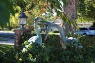 lawn-ornaments-birds-lawn-grass-981423.jpg