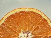 orange-fruit-citrus-fruit-frisch-570413.jpg