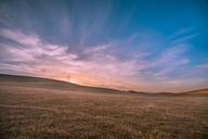 landscape-grassland-field-meadow-768547.jpg