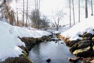 winter-day-the-creek-forest-snow-1242743.jpg