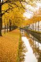 autumn-leaves-golden-autumn-1070462.jpg