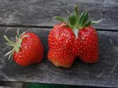 strawberry-berry-summer-fresh-ripe-1502407.jpg