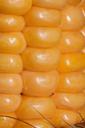 corn-kernels-corn-on-the-cob-corn-441296.jpg