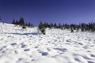 winter-scene-mountain-wonderland-1086646.jpg