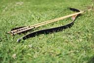 arrow-bow-and-arrow-arrows-archery-1557462.jpg