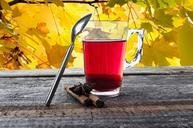 tea-cup-teabag-mug-glass-autumn-314671.jpg